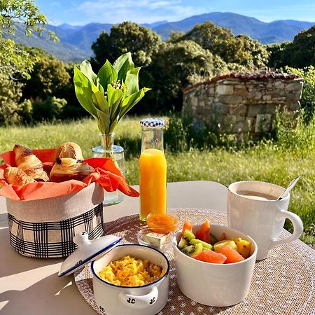 Tradition Corse Et Modernite A Cantina Granace المظهر الخارجي الصورة