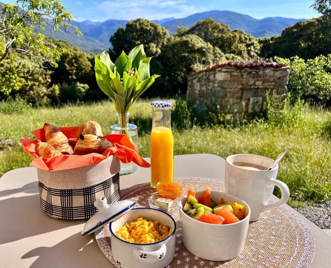 Tradition Corse Et Modernite A Cantina Granace المظهر الخارجي الصورة